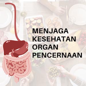 Cara Sederhana Menjaga Kesehatan Organ Pencernaan - IGM